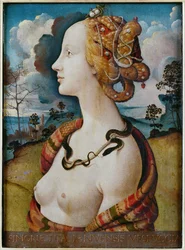 Portrait of a Woman Known as Simonetta Vespucci